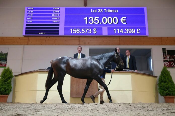 Kat. Nr. 33: Tribeca