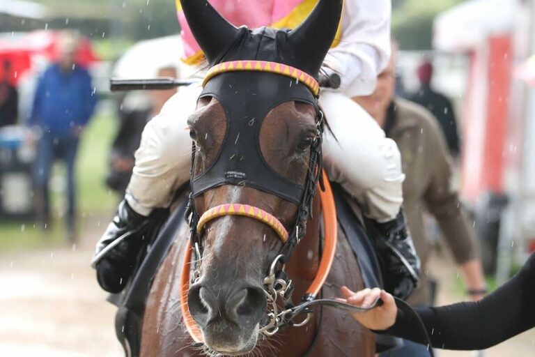 Nabora wieder Zweite – Sunny Star siegt mit Hammer-Hansen