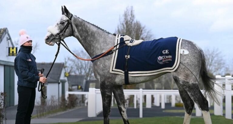 Rekordkauf Caldwell Potter wechselt zu Paul Nicholls