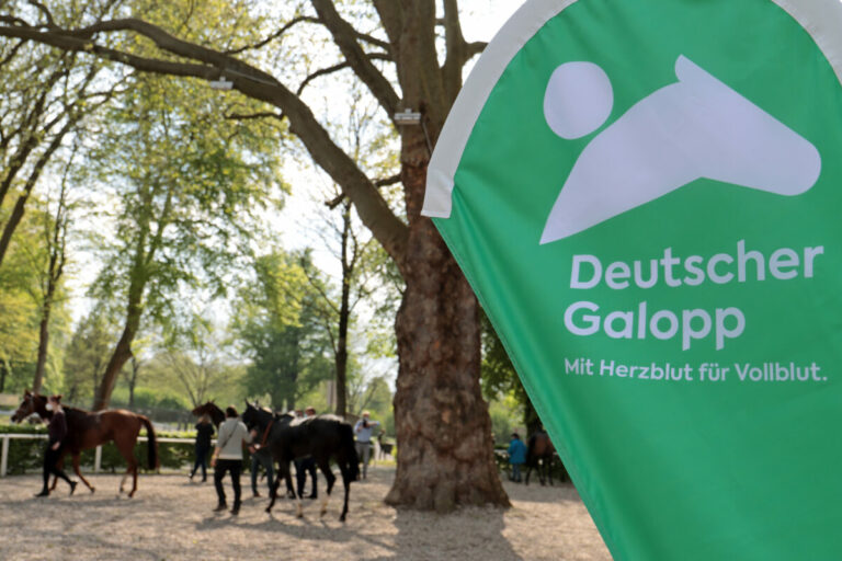Tierwohlkommission – Eine erste Zwischenbilanz