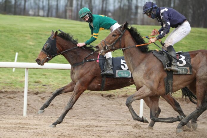 Ireland Alexander siegt unter Senan Macredmond