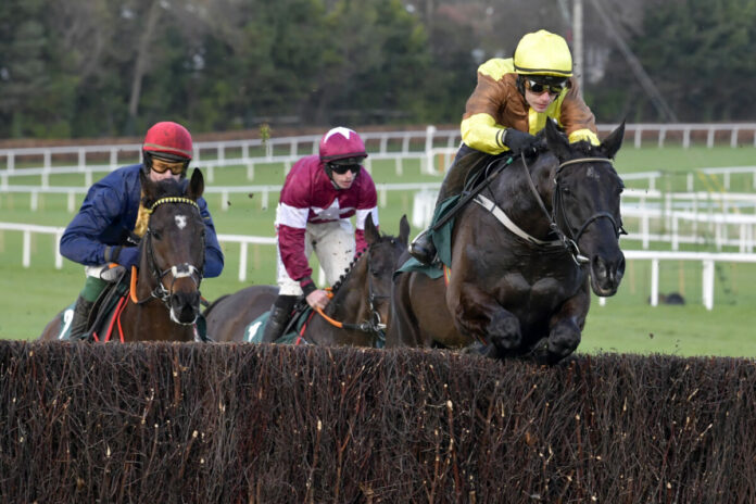 Galopin Des Champs (Archiv) Foto: Sorge