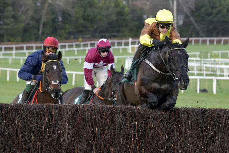 Galopin Des Champs (Archiv) Foto: Sorge