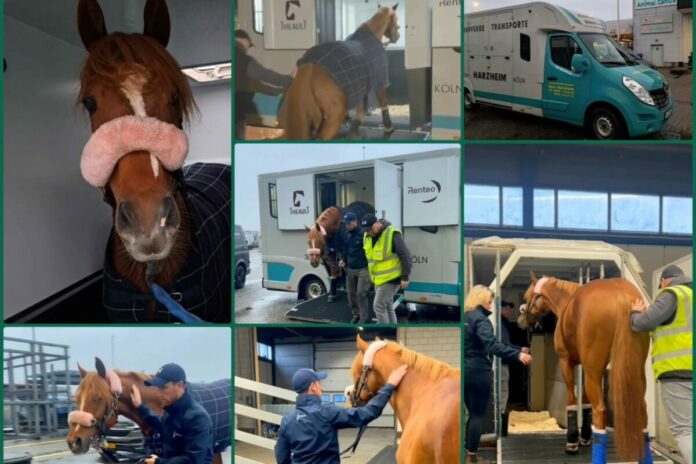 Sisfahans Reise beginnt (Fotos: privat)