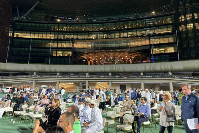 Die Auktion in Meydan Foto: privat