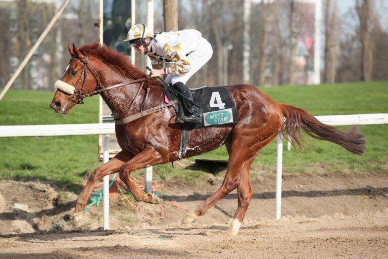 Frankie’s Boy ist bei der Schwinn-Rückkehr hochüberlegen