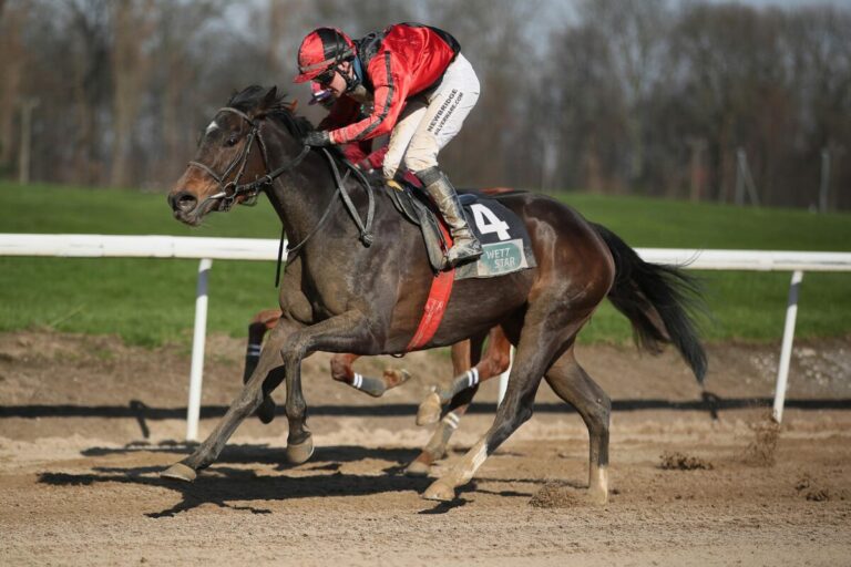 Korpas gewinnt mit Point de Vue zweites Rennen – Night Star-Schock