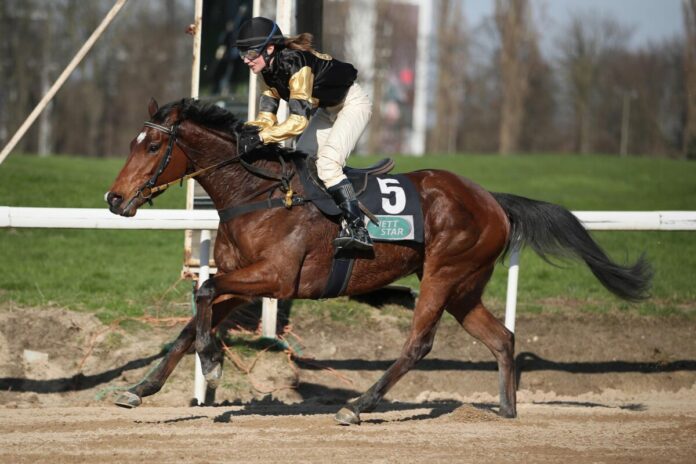 Aurum Sky siegt unter Patricia Tepper