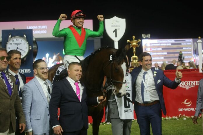 Facteur Cheval Foto: Hemke