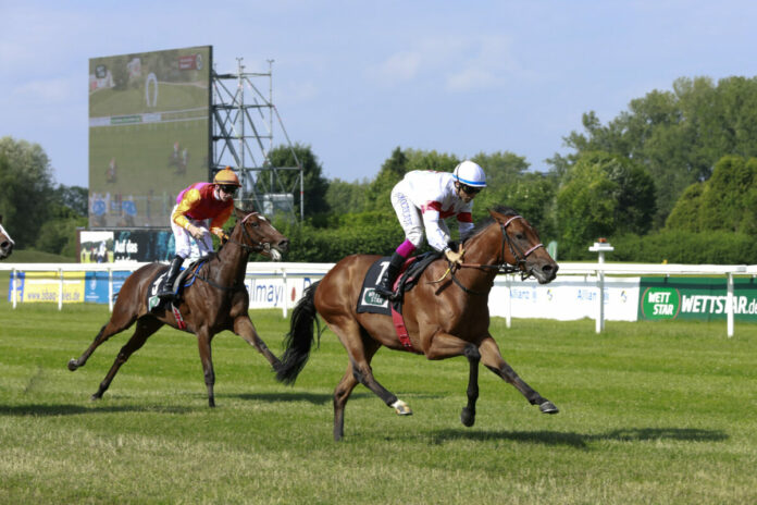 Faster Than Life Foto: turfstock.com Faster Than Life Foto: turfstock.com