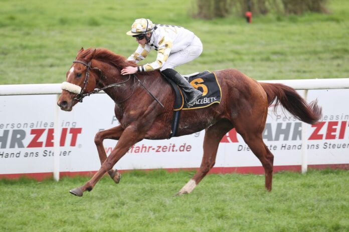 Frankie's Boy siegt unter Leon Wolff