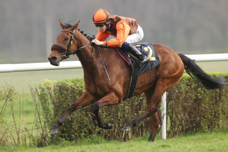 Grewes Koffi Kick zurück auf Siegerstraße – Mega-Ehrenpreise von Tesla