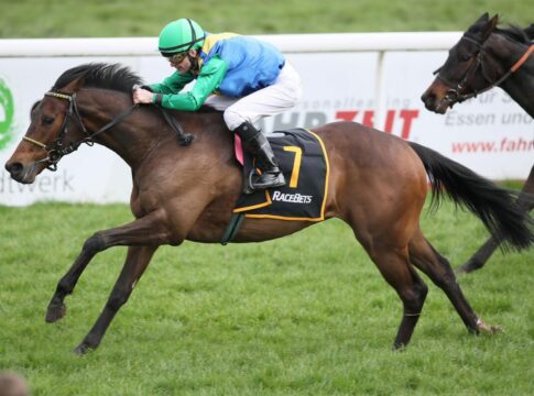 Zweiter Moritz-Renntag: Sechs deutsche Nennungen Scipio (Archiv)