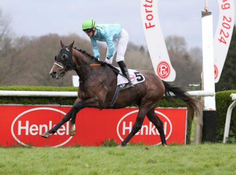 Padre Palou nachgenannt, Quinto raus – Sieben im Fürstenberg-Rennen Padre Palou