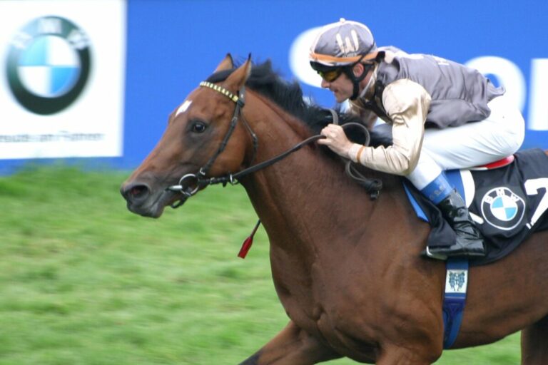 Merci Olivier, merci Magic-Peslier