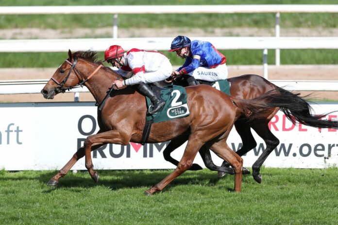 Lordano siegt unter Rene Piechulek im Carl Jaspers Preis