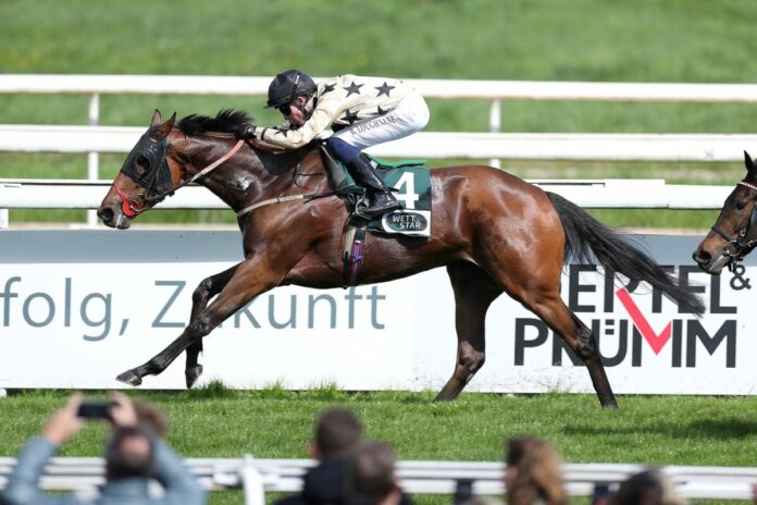 Queues Likely siegt unter Billy Loughnane im Karin Baronin von Ullmann - Schwarzgold-Rennen