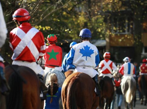 Die Pferde auf dem Weg zum Absattelring Nichtstarter