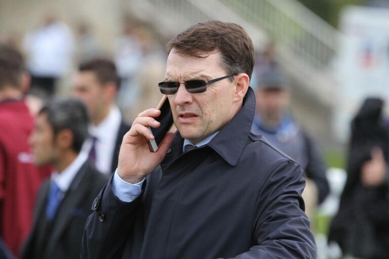 Diego Velazquez wird Deckhengst im National Stud
