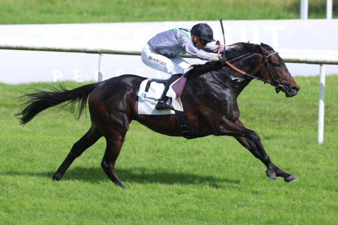 Arcandi siegt unter Bauyrzhan Murzabayev in der 46. Kronimus Badener Meile