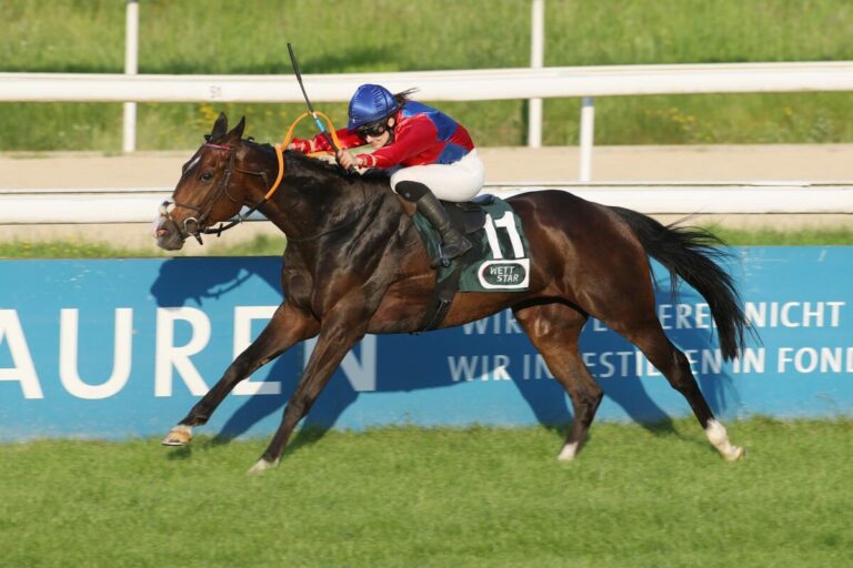 Am Samstag geht es in Magdeburg weiter – Wieder Highlights für die Wetter