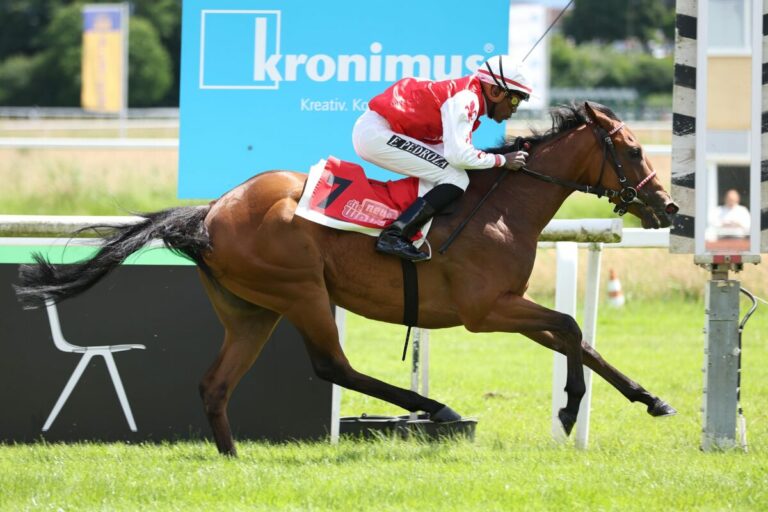 Savoya macht den Auftakt – Wöhler und Pedroza direkt siegreich