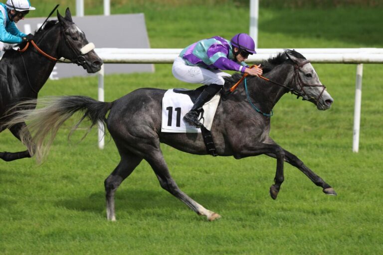 Silver Beauty fängt Wilmot ab – Wolff schnappt spät zu