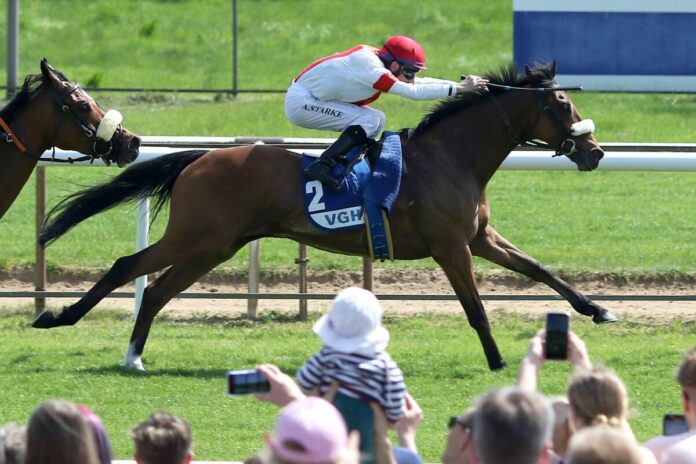 Danelo in den Farben des Gestüts Ittlingen