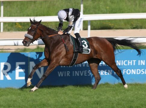 Daydream Express siegt unter Thore Hammer-Hansen