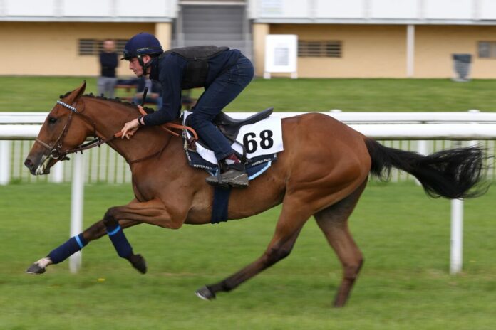 Die Lot-Nummer 68 bei der Breeze Up