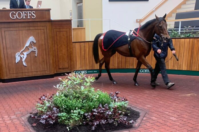 Mitchouka Foto: privat