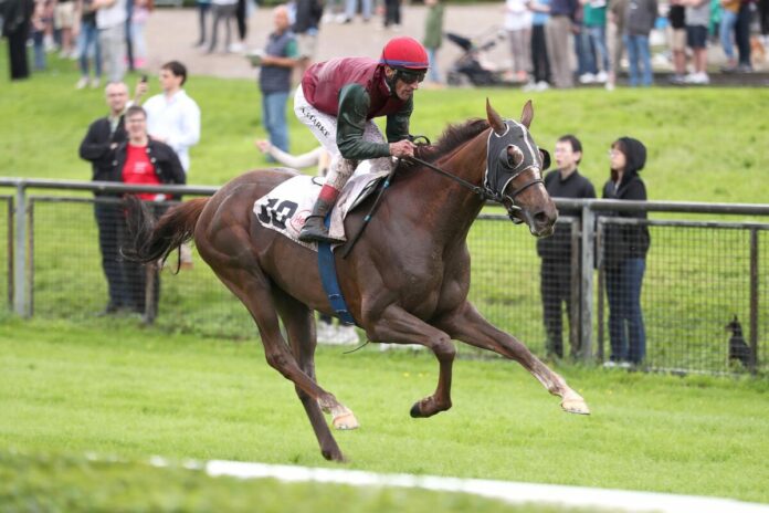 Monaigle siegt unter Andrasch Starke