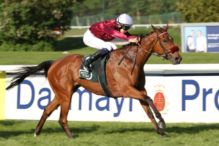 Sieben spannende Rennen am Samstag in Magdeburg