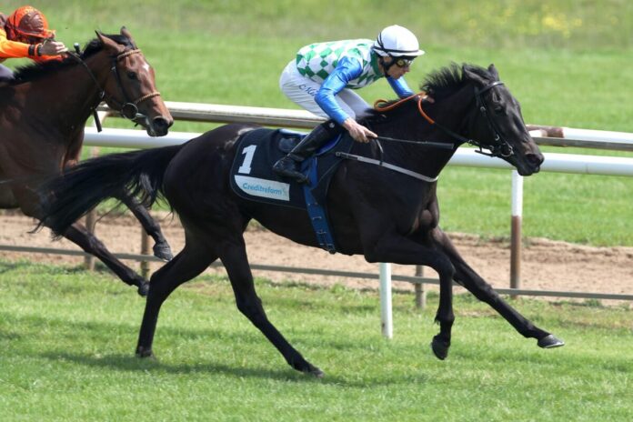 Princess Badee siegt unter Michael Cadeddu