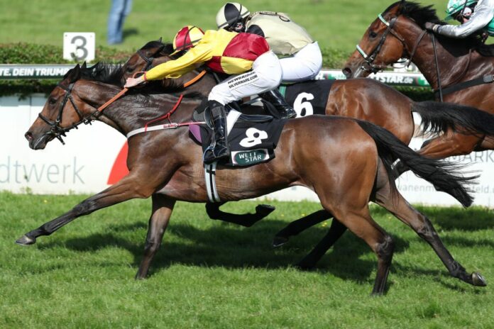 Sainte Marie siegt unter Sean Byrne