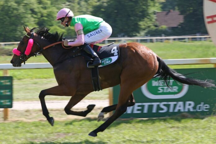 Saman siegt unter Thore Hammer-Hansen