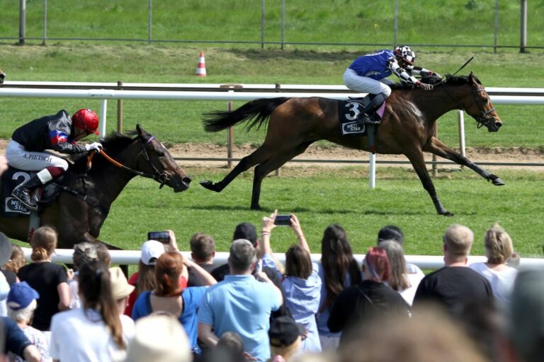 Understated siegt unter Eduardo Pedroza im Großer Preis von Rossmann