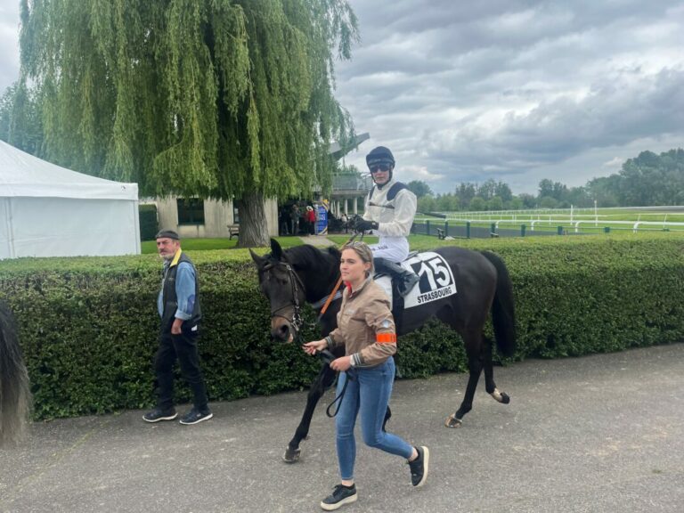 Stellungnahme Deutscher Galopp zur Streichung von You’ve Got Sail