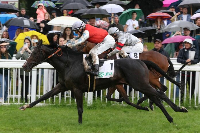 Augustus siegt unter Michal Abik