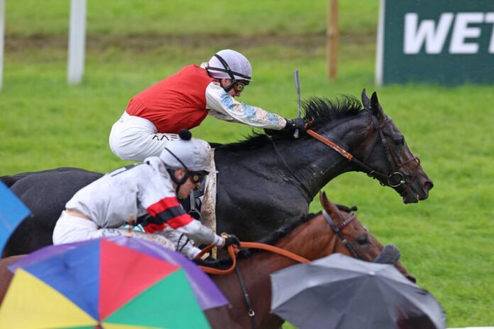 Augustus siegt unter Michal Abik im Japan Racing Association Derby-Trial, Gr.3