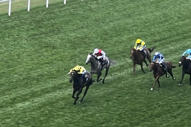 Ryans Inisherin ist im Commonwealth Cup überlegene Ware