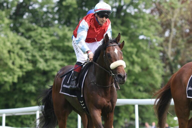 Starke legt mit Jonatan nach – Weis jubelt wieder