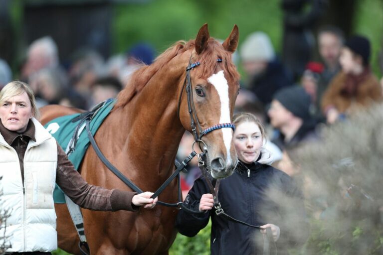Northern Olympian