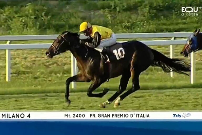 Fährhofer Queimados startet im Derby – Eduardo Pedroza reitet