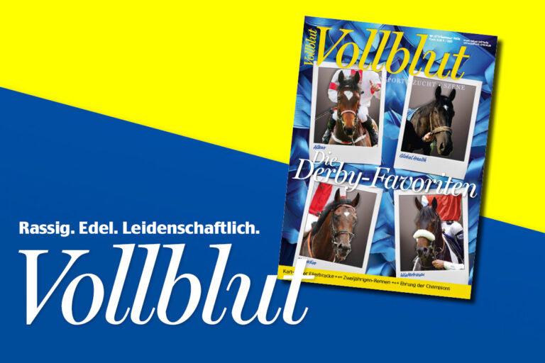 Neue Vollblut kommt – Jetzt bestellen!