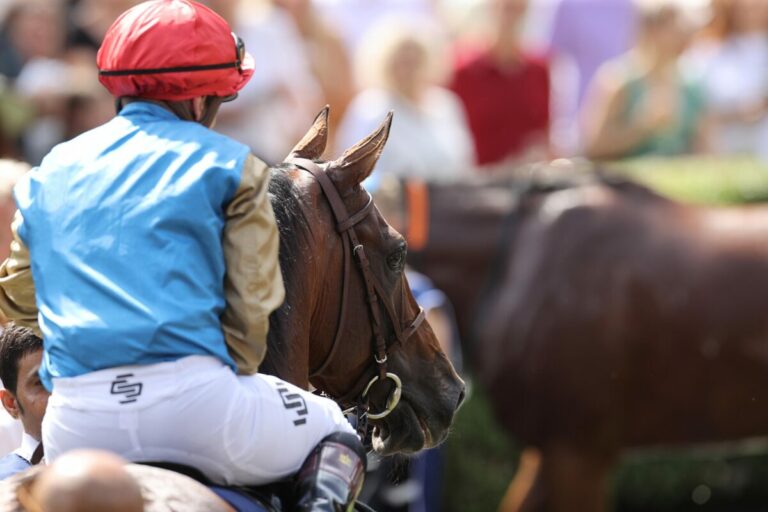 Reynier-Galopper Lazzat gewinnt beim ersten Wathnan-Auftritt