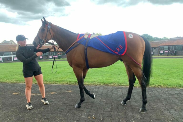 Recke kauft weiter bei Tattersalls, auch FX Weißmeier aktiv