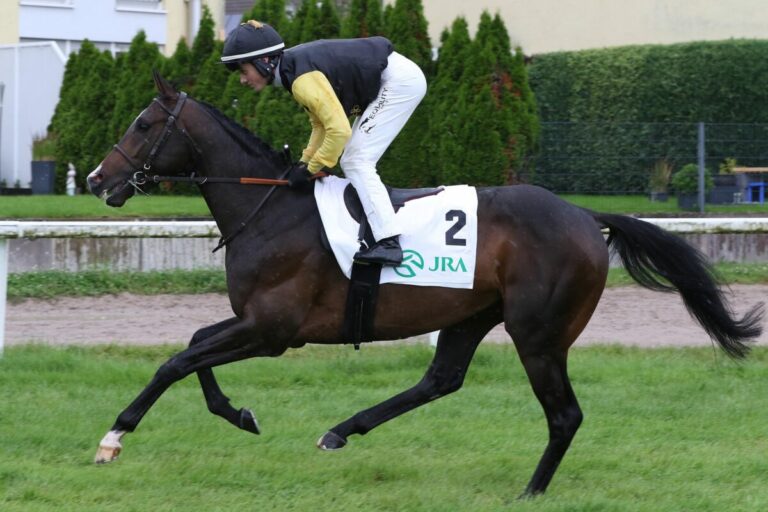 Deutsche Farben gewinnen Deauville-Listenrennen  – Columbus siegt für Baum