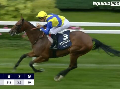 Goliath (Screenshot Equidia)