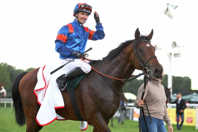 Niagaro ist der beste Steher in Hamburg-Horn